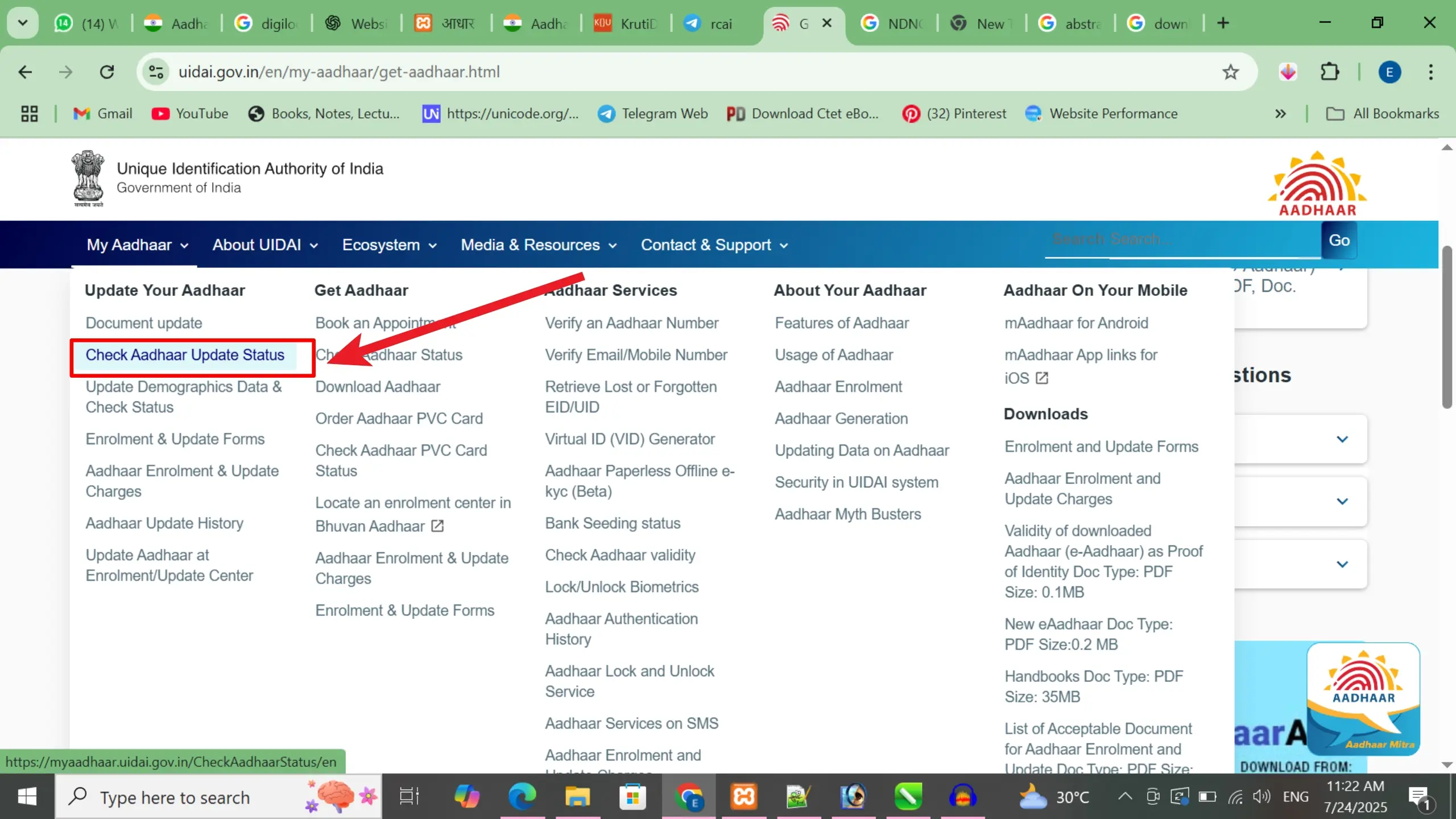 UIDAI My Aadhaar Menu